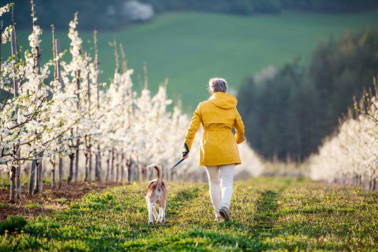 Walking Do's and Don'ts For Active Seniors - 55plus