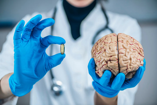 CBD softgel held by doctor next to fake brain