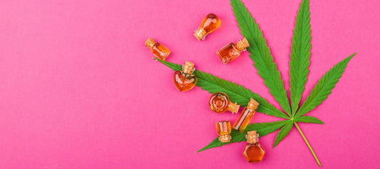 CBD Addiction and You: Does It Happen To Older Adults? - 55plus