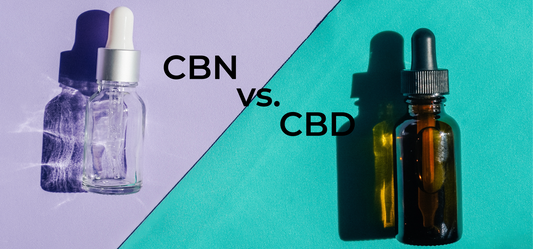 CBN oil for seniors vs. cbd oil for seniors on blue and purple background