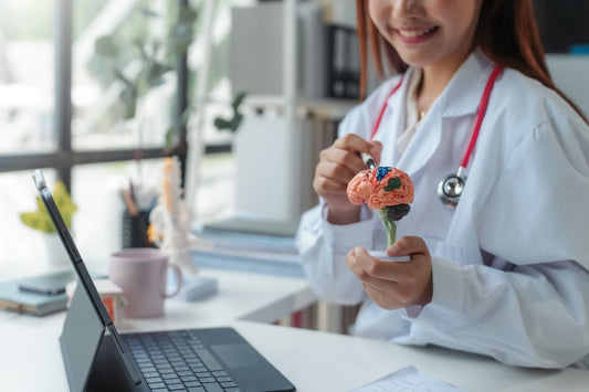 medical professional explaining ecs brain anatomy model