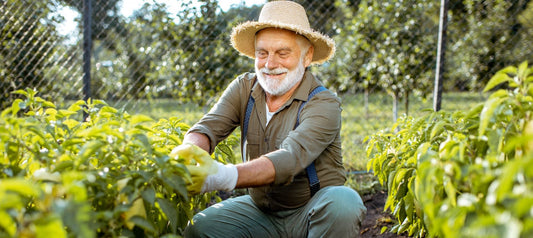 10 Benefits of Gardening | Aging Gracefully in Older Adults - 55plus